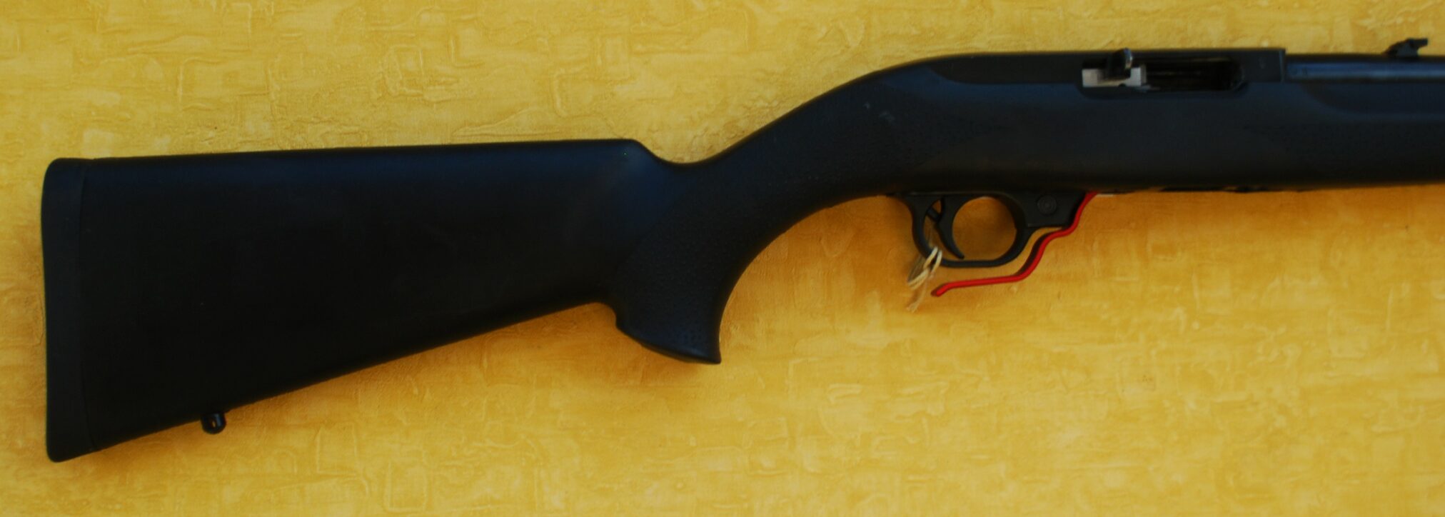 RUGER 1022 SEMIAUTOMATIC .22 RIM FIRE RIFLE. Emma Custom Rifles