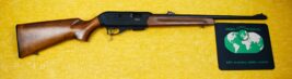 CZ .22 WMR SEMI-AUTOMATIC RIFLE. 