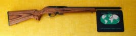 REMINGTON .22 WMR SEMI-AUTOMATIC RIFLE